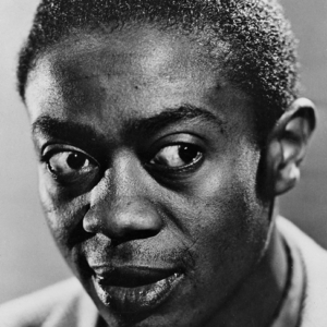 Willie Best (Sleep and Eat) Movie Collection old movies, classic films Willie Best (Sleep and Eat) Movie Collection BY STAR